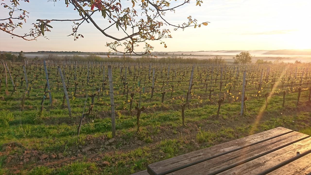 Weingut Familie Bauer Hotel Grossriedenthal Kültér fotó