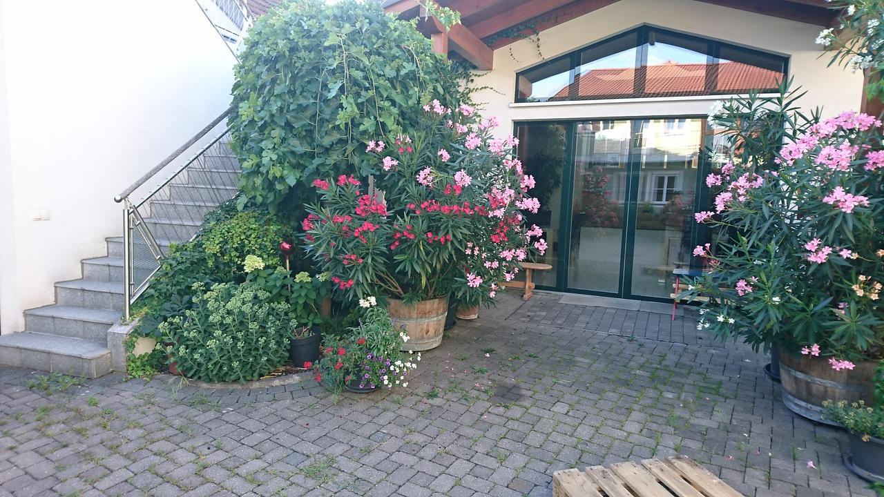 Weingut Familie Bauer Hotel Grossriedenthal Kültér fotó